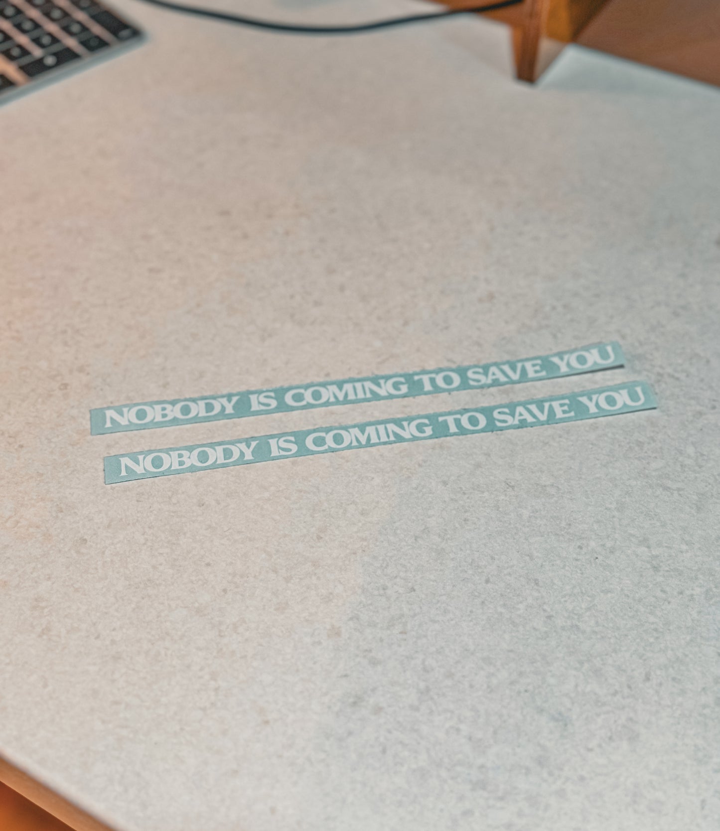 2 decals of Nobody is Coming to Save You