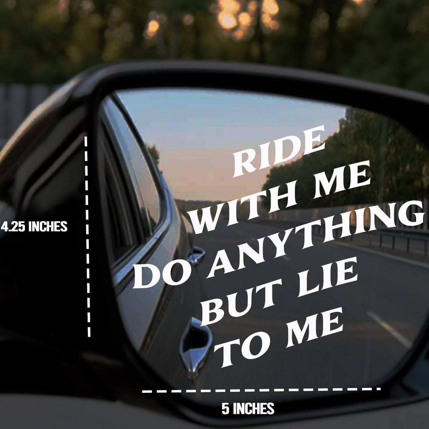 "RIDE WITH ME DO ANYTHING BUT LIE TO ME" DECALS